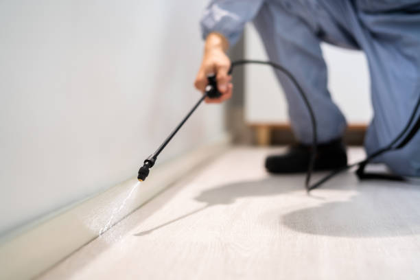 Licensed Termite Control service in Ardmore, AL - Nex Pest Control