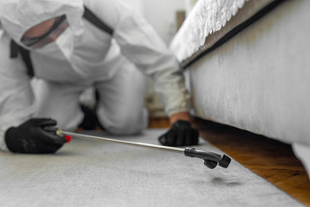 Professional Termite Control technician working in Ardmore, AL