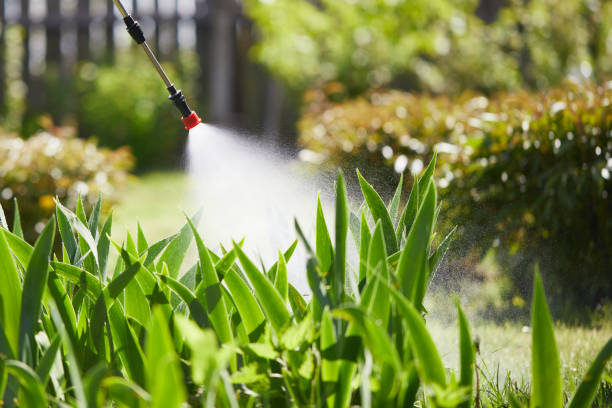 24/7 Emergency Termite Control experts in Ardmore, AL