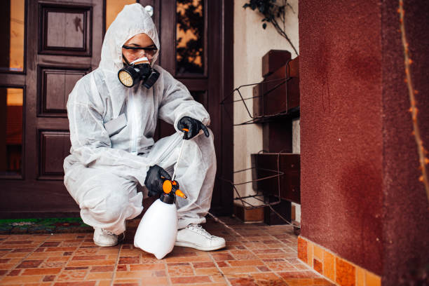 Reliable Termite Control contractor in Ardmore, AL by Nex Pest Control